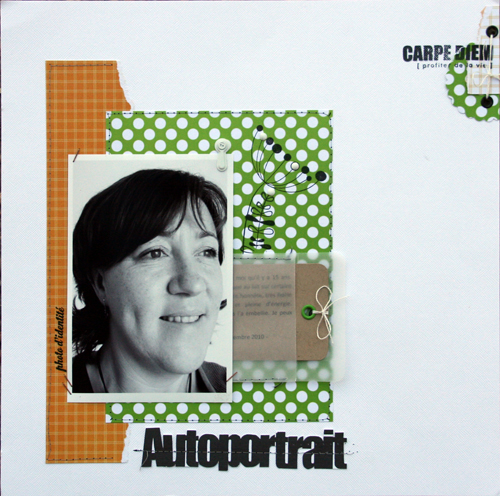 http://www.chez-mumu.com/blog/public/scrap2010/pages/autoportrait01.JPG