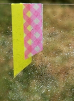 tryptique_04.JPG