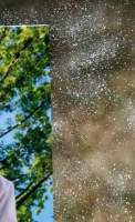 tryptique_07.JPG