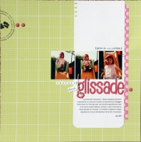 chouette_glissage.JPG